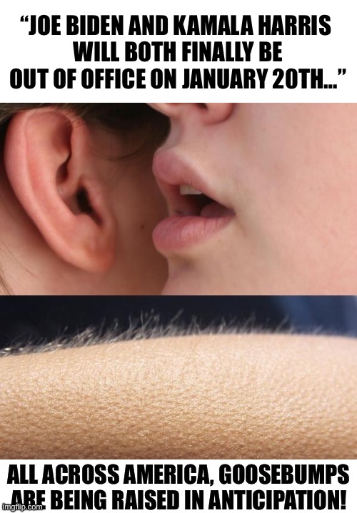 “JOE BIDEN AND KAMALA HARRIS 
WILL BOTH FINALLY BE OUT OF OFFICE ON JANUARY 20TH…” | made w/ Imgflip meme maker