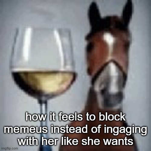 wine horse | how it feels to block memeus instead of ingaging with her like she wants | image tagged in wine horse | made w/ Imgflip meme maker