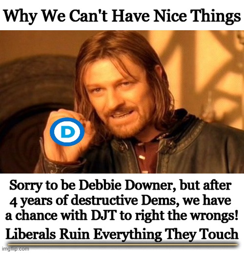 The Democrats have taken a wrecking ball to America. Thank goodness Donald Trump has a background in construction & renovation | Why We Can't Have Nice Things; Sorry to be Debbie Downer, but after 
4 years of destructive Dems, we have 
a chance with DJT to right the wrongs! _________________; Liberals Ruin Everything They Touch | image tagged in one does not simply,democrats,wrecking ball,america,liberalism,mental disorder | made w/ Imgflip meme maker