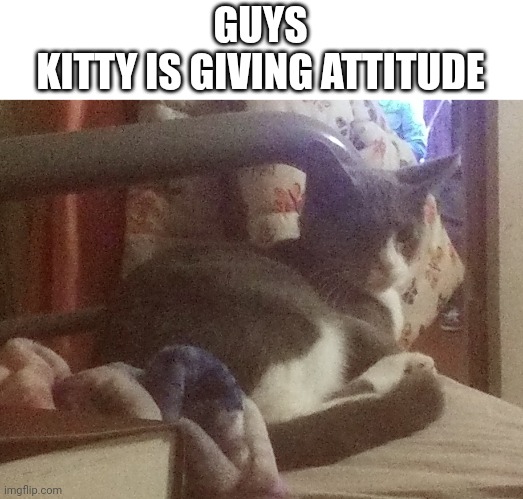 Shes a teen now ig | GUYS
KITTY IS GIVING ATTITUDE | image tagged in kitty | made w/ Imgflip meme maker