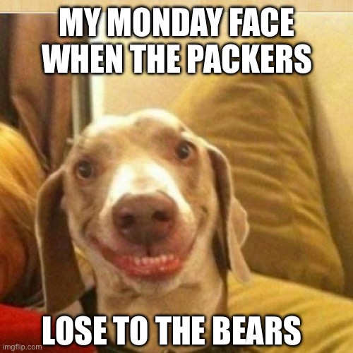 Bears win packer lose | MY MONDAY FACE WHEN THE PACKERS; LOSE TO THE BEARS | image tagged in big smile doggie | made w/ Imgflip meme maker