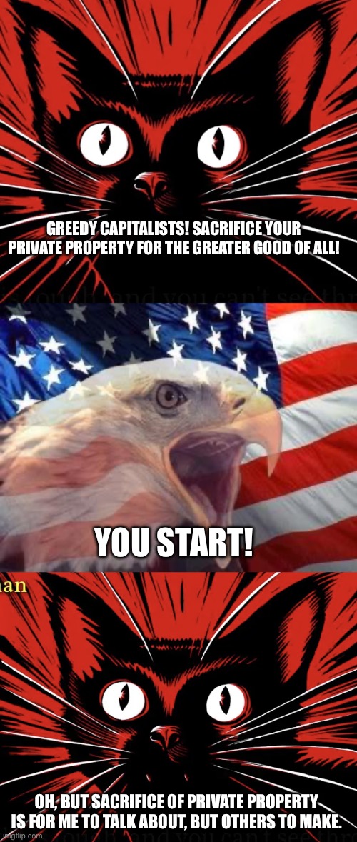 GREEDY CAPITALISTS! SACRIFICE YOUR PRIVATE PROPERTY FOR THE GREATER GOOD OF ALL! YOU START! OH, BUT SACRIFICE OF PRIVATE PROPERTY IS FOR ME TO TALK ABOUT, BUT OTHERS TO MAKE. | image tagged in sabo tabby cat,patriotic eagle,sabo tabby | made w/ Imgflip meme maker