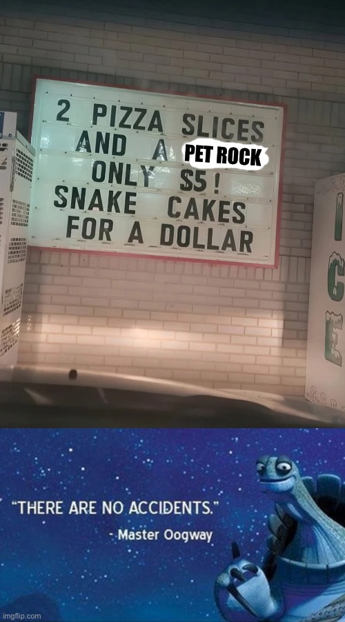 PET ROCK | image tagged in there are no accidents | made w/ Imgflip meme maker