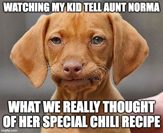 Frustrated Dog | WATCHING MY KID TELL AUNT NORMA; WHAT WE REALLY THOUGHT OF HER SPECIAL CHILI RECIPE | image tagged in frustrated dog | made w/ Imgflip meme maker