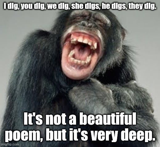 Monkey digs it lol | I dig, you dig, we dig, she digs, he digs, they dig. It's not a beautiful poem, but it's very deep. | image tagged in laughing monkey,puns,bad puns,lol,funny memes | made w/ Imgflip meme maker