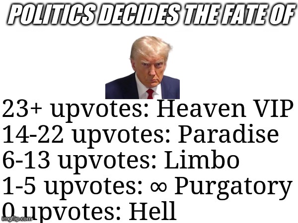 MSMG decides | POLITICS DECIDES THE FATE OF | image tagged in msmg decides | made w/ Imgflip meme maker