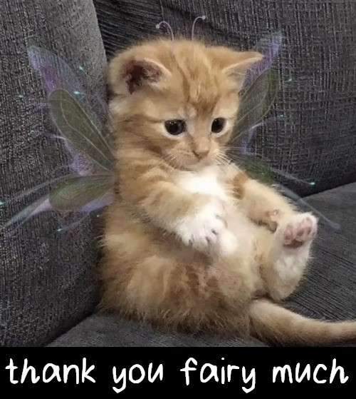 thank you fairy much | made w/ Imgflip meme maker