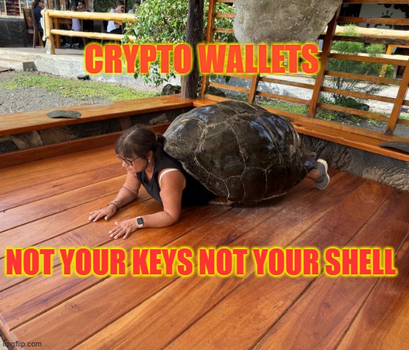 Crypto Lesson #1 | CRYPTO WALLETS; NOT YOUR KEYS NOT YOUR SHELL | image tagged in tortuela,crypto,meme,tortuelavibez,galapagos,tortiose | made w/ Imgflip meme maker