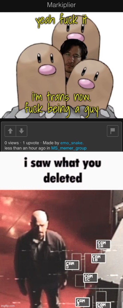 image tagged in i saw what you deleted | made w/ Imgflip meme maker