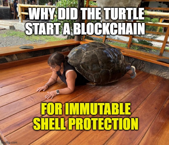 Tortuela Joke Alert | WHY DID THE TURTLE START A BLOCKCHAIN; FOR IMMUTABLE SHELL PROTECTION | image tagged in tortuela,blockchain,hardware wallet,tortoise,cyrpto | made w/ Imgflip meme maker