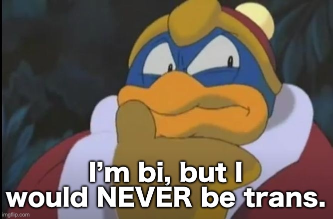 That shit is just wrong. You’re not the opposite gender, you’re a minor. Go do your homework. | I’m bi, but I would NEVER be trans. | image tagged in king dedede thinking | made w/ Imgflip meme maker