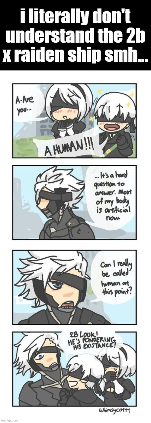i literally don't understand the 2b x raiden ship smh... | made w/ Imgflip meme maker