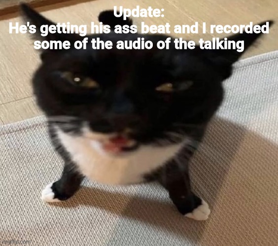 Cat of anger | Update:
He's getting his ass beat and I recorded some of the audio of the talking | image tagged in cat of anger | made w/ Imgflip meme maker