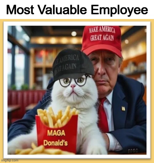 The MVP Who Saved America | Most Valuable Employee | image tagged in maga,donald trump,mcdonalds,mvp,you are a good man thank you,make america great again | made w/ Imgflip meme maker