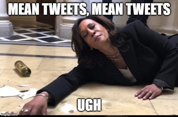 drunk kamala | MEAN TWEETS, MEAN TWEETS UGH | image tagged in drunk kamala | made w/ Imgflip meme maker