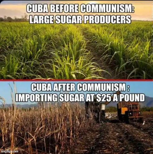 Proof again that Communism doesn't work | image tagged in cuba,communism,sugar,truth hurts,so true memes,facts | made w/ Imgflip meme maker