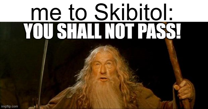 nope, no oofing me today! | me to Skibitol:; YOU SHALL NOT PASS! | image tagged in gandalf you shall not pass | made w/ Imgflip meme maker