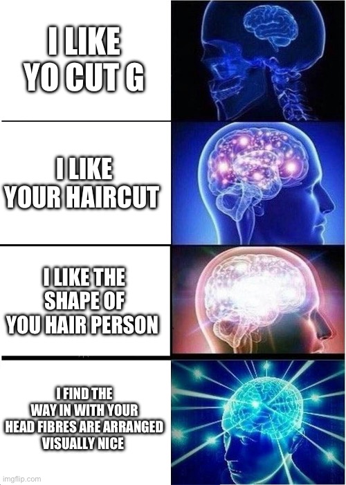 Big brain | I LIKE YO CUT G; I LIKE YOUR HAIRCUT; I LIKE THE SHAPE OF YOU HAIR PERSON; I FIND THE WAY IN WITH YOUR HEAD FIBRES ARE ARRANGED
VISUALLY NICE | image tagged in memes,expanding brain | made w/ Imgflip meme maker