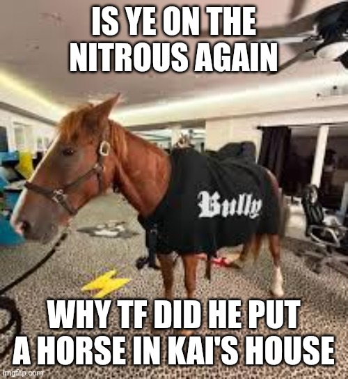 Hork | IS YE ON THE NITROUS AGAIN; WHY TF DID HE PUT A HORSE IN KAI'S HOUSE | made w/ Imgflip meme maker