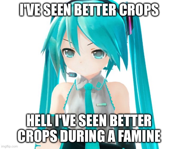 Angry Miku | I'VE SEEN BETTER CROPS HELL I'VE SEEN BETTER CROPS DURING A FAMINE | image tagged in angry miku | made w/ Imgflip meme maker