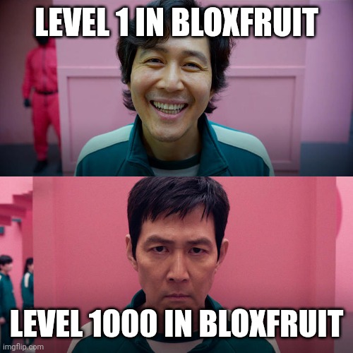 Bloxfruit | LEVEL 1 IN BLOXFRUIT; LEVEL 1000 IN BLOXFRUIT | image tagged in smiling seong gi-hun / unsmiling seong gi-hun,roblox meme | made w/ Imgflip meme maker