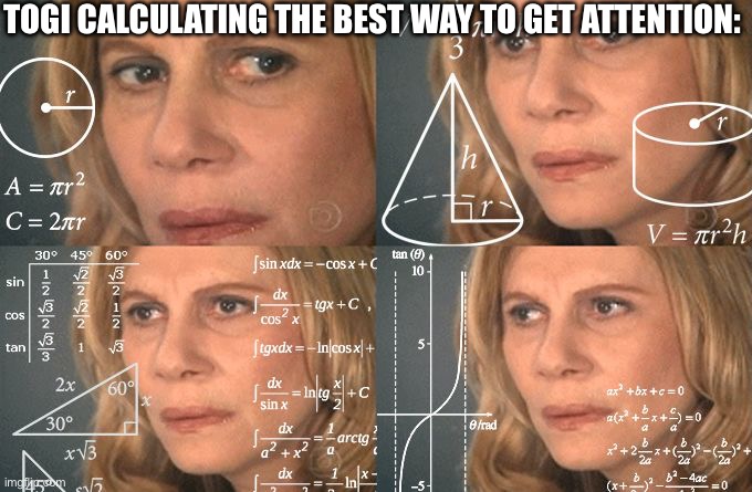 Calculating meme | TOGI CALCULATING THE BEST WAY TO GET ATTENTION: | image tagged in calculating meme | made w/ Imgflip meme maker