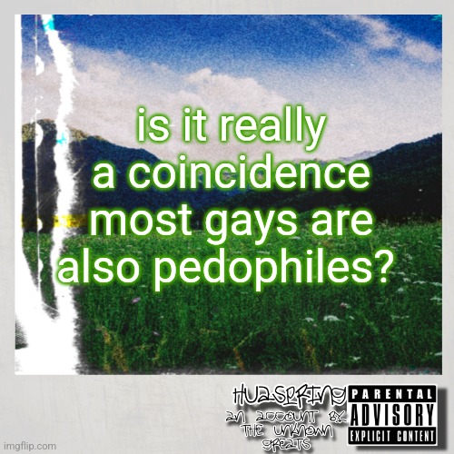 those over 18 I should clarify | is it really a coincidence most gays are also pedophiles? | image tagged in huaspring temp | made w/ Imgflip meme maker