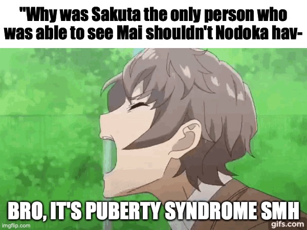 "In Bunny girl senpai, why doe- ITS PUBERTY SYNDROME | "Why was Sakuta the only person who was able to see Mai shouldn't Nodoka hav-; BRO, IT'S PUBERTY SYNDROME SMH | image tagged in anime | made w/ Imgflip meme maker