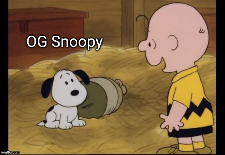 OG Snoopy | OG Snoopy | image tagged in charlie brown,snoopy,peanuts,dogs,og | made w/ Imgflip meme maker