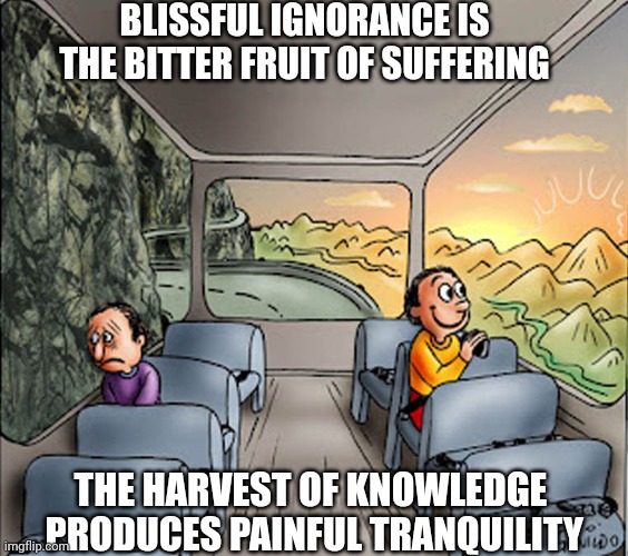 To be or not to be | BLISSFUL IGNORANCE IS THE BITTER FRUIT OF SUFFERING; THE HARVEST OF KNOWLEDGE  PRODUCES PAINFUL TRANQUILITY | image tagged in two guys on a bus,ignorance,knowledge,suffering,pain,wisdom | made w/ Imgflip meme maker