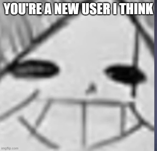 Epic! Sans happy | YOU'RE A NEW USER I THINK | image tagged in epic sans happy | made w/ Imgflip meme maker