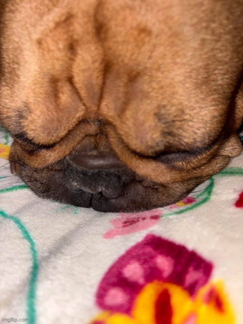 mood | made w/ Imgflip meme maker