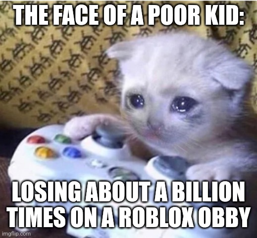 Poor Kid on a Roblox Obby | THE FACE OF A POOR KID:; LOSING ABOUT A BILLION TIMES ON A ROBLOX OBBY | image tagged in sad gaming cat | made w/ Imgflip meme maker