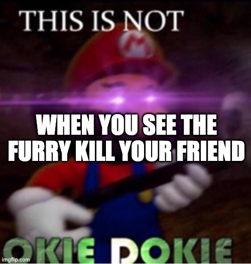 THIS IS NOT O K I E   D O K I E | WHEN YOU SEE THE FURRY KILL YOUR FRIEND | image tagged in this is not o k i e d o k i e | made w/ Imgflip meme maker