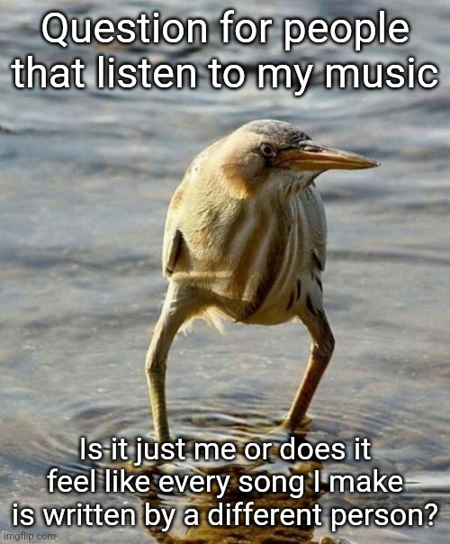 Так блэт птица | Question for people that listen to my music; Is it just me or does it feel like every song I make is written by a different person? | made w/ Imgflip meme maker