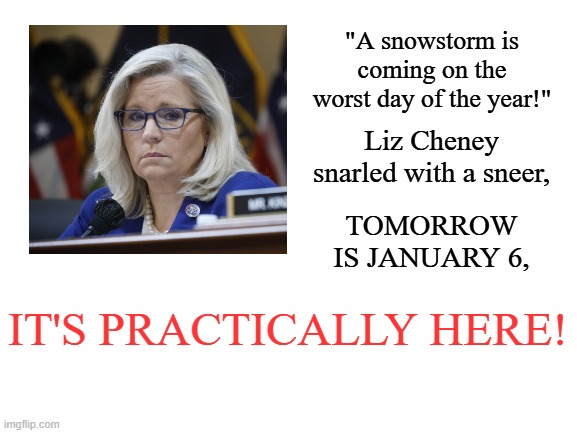 All the Q's down in Qville liked J6 a lot... | "A snowstorm is coming on the worst day of the year!"; Liz Cheney snarled with a sneer, TOMORROW IS JANUARY 6, IT'S PRACTICALLY HERE! | image tagged in memes,poem,congress,january,capitol hill,grinch | made w/ Imgflip meme maker