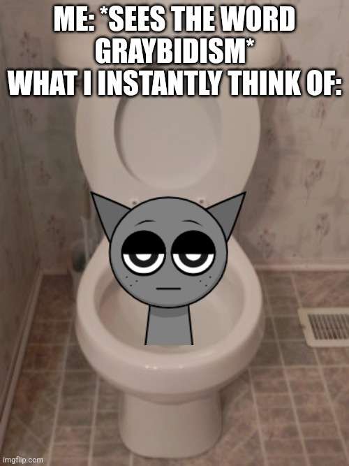 Skibidi Gray | ME: *SEES THE WORD GRAYBIDISM*
WHAT I INSTANTLY THINK OF: | image tagged in toilet seat up | made w/ Imgflip meme maker