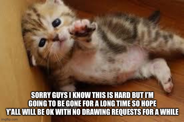 Goodbye guys | SORRY GUYS I KNOW THIS IS HARD BUT I’M GOING TO BE GONE FOR A LONG TIME SO HOPE Y’ALL WILL BE OK WITH NO DRAWING REQUESTS FOR A WHILE | image tagged in sad kitten goodbye | made w/ Imgflip meme maker