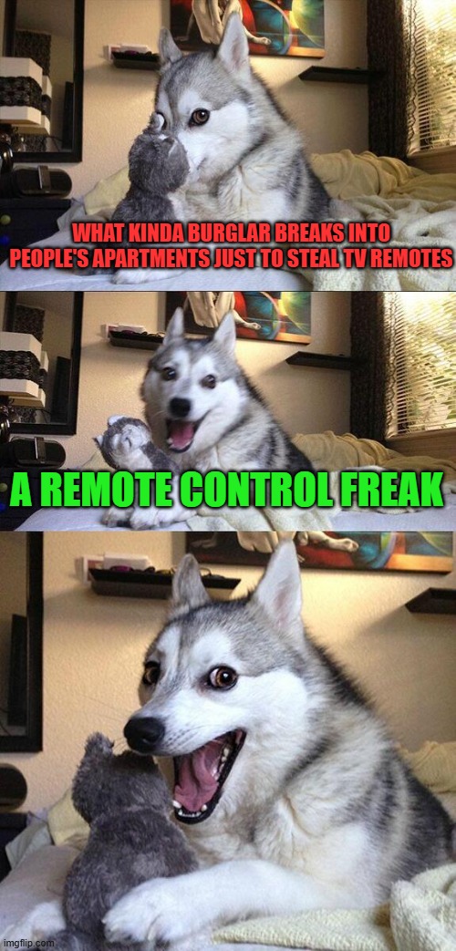 Bad Pun Dog | WHAT KINDA BURGLAR BREAKS INTO PEOPLE'S APARTMENTS JUST TO STEAL TV REMOTES; A REMOTE CONTROL FREAK | image tagged in memes,bad pun dog | made w/ Imgflip meme maker