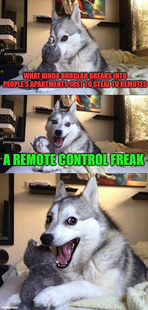 Bad Pun Dog Meme | WHAT KINDA BURGLAR BREAKS INTO PEOPLE'S APARTMENTS JUST TO STEAL TV REMOTES; A REMOTE CONTROL FREAK | image tagged in memes,bad pun dog,puns | made w/ Imgflip meme maker