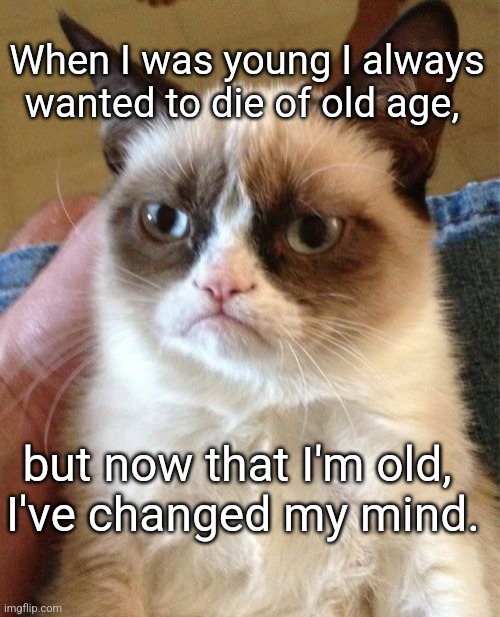 Minds can Change | When I was young I always wanted to die of old age, but now that I'm old, 
I've changed my mind. | image tagged in memes,grumpy cat | made w/ Imgflip meme maker