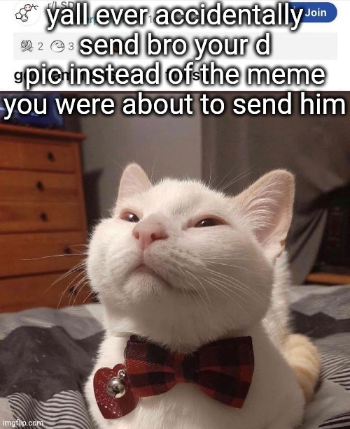 . | yall ever accidentally send bro your d pic instead of the meme you were about to send him | image tagged in lsd cat | made w/ Imgflip meme maker