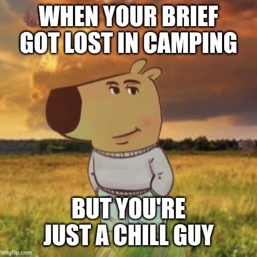 Chill guy | WHEN YOUR BRIEF GOT LOST IN CAMPING; BUT YOU'RE JUST A CHILL GUY | image tagged in chill guy | made w/ Imgflip meme maker