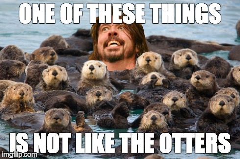 ONE OF THESE THINGS IS NOT LIKE THE OTTERS | made w/ Imgflip meme maker