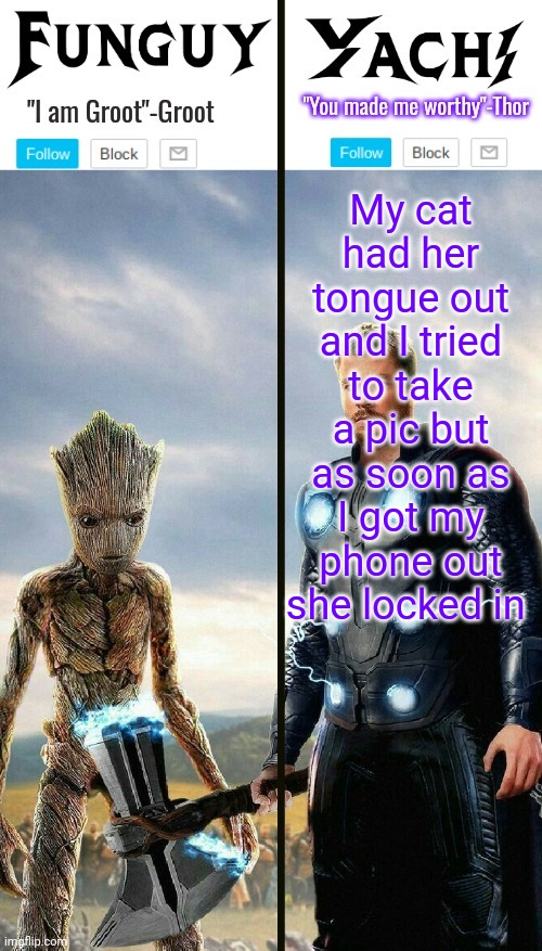 Funguy and yachi temp | My cat had her tongue out and I tried to take a pic but as soon as I got my phone out she locked in | image tagged in funguy and yachi temp | made w/ Imgflip meme maker