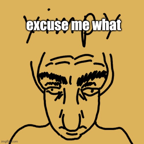 yim | excuse me what | image tagged in yimpy | made w/ Imgflip meme maker