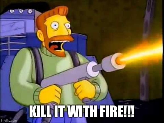 Kill it with fire | KILL IT WITH FIRE!!! | image tagged in kill it with fire | made w/ Imgflip meme maker