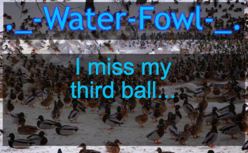 WaterFowl Announcement temp | I miss my third ball... | image tagged in waterfowl announcement temp | made w/ Imgflip meme maker