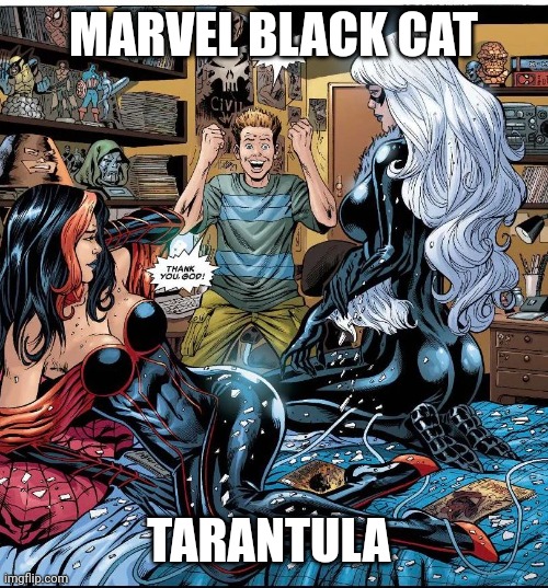 Marvel Black Cat and Tarantula | MARVEL BLACK CAT; TARANTULA | image tagged in marvel black cat and tarantula | made w/ Imgflip meme maker