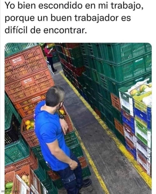 9fs0gm.jpg